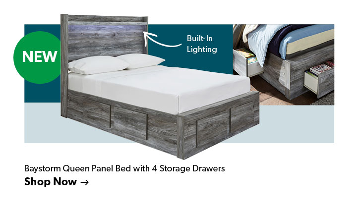 NEW, Baystorm Panel Bed with 4 Storage Drawers. Online Only, Click to shop now.