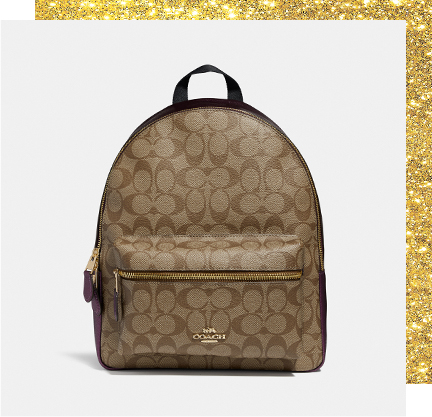 Medium Charlie Backpack