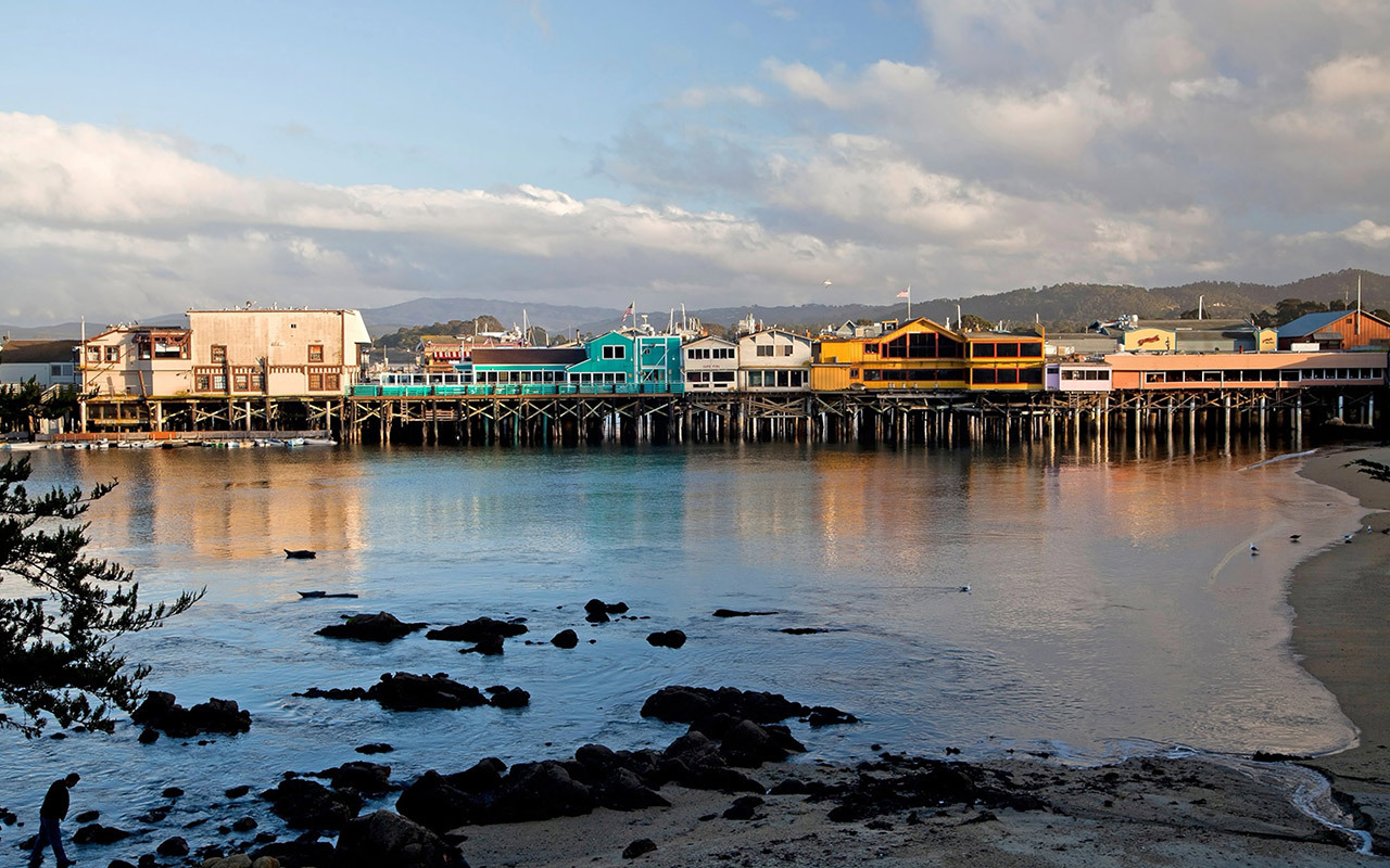 Along California’s Central Coast, Fisherman’s Wharf is the launching point for several wildlife watching tours in Monterey Bay.