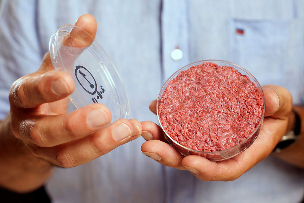a lab-grown in-vitro burger, from cattle stem cells