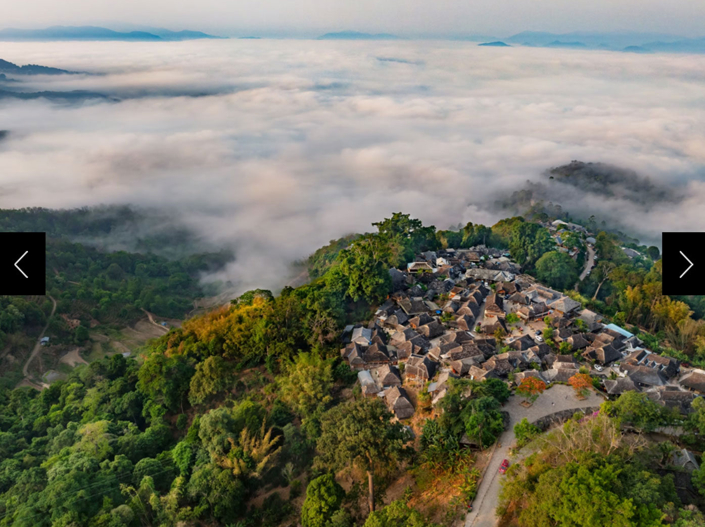 Situated 4,000 to 5,000 feet above sea level, these tea forests are often shrouded in fog and benefit from cool temperatures that allow tea trees to develop leaves with complex flavors. The area’s remote location also helped protect it from development during  the 20th century. Today  the region’s Pu’er tea, with its nutty, bitter taste, is valued among connoisseurs.