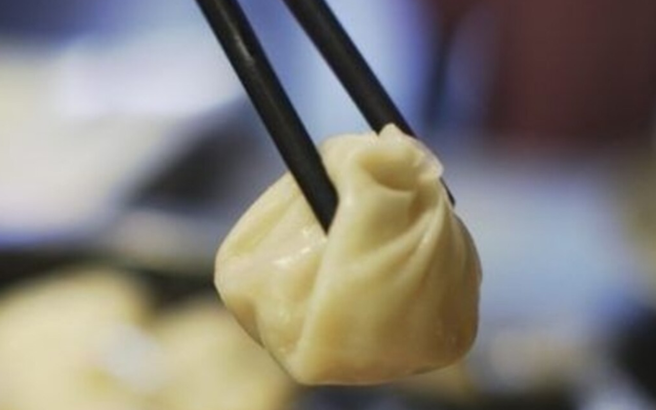 Photograph of a dumpling