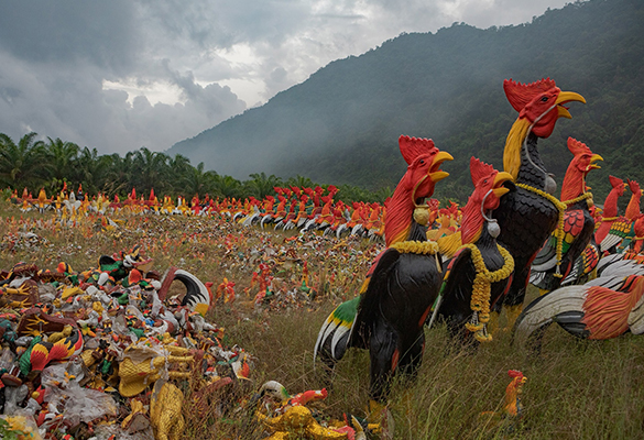 Visitors to Wat Chedi, a temple in southern Thailand, have donated countless chicken figures to honor Ai Khai (or Egg Boy), a statue housing the spirit of a boy said to bring good luck.