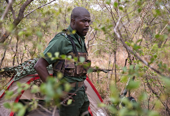 Rodney Landela, pictured in 2014 on an anti-poaching patrol, was arrested in 2016 for allegedly killing a rhino and taking its horn. A highly respected ranger who rose through the ranks quickly, he was a contender to be the park’s next head ranger, many colleagues thought.