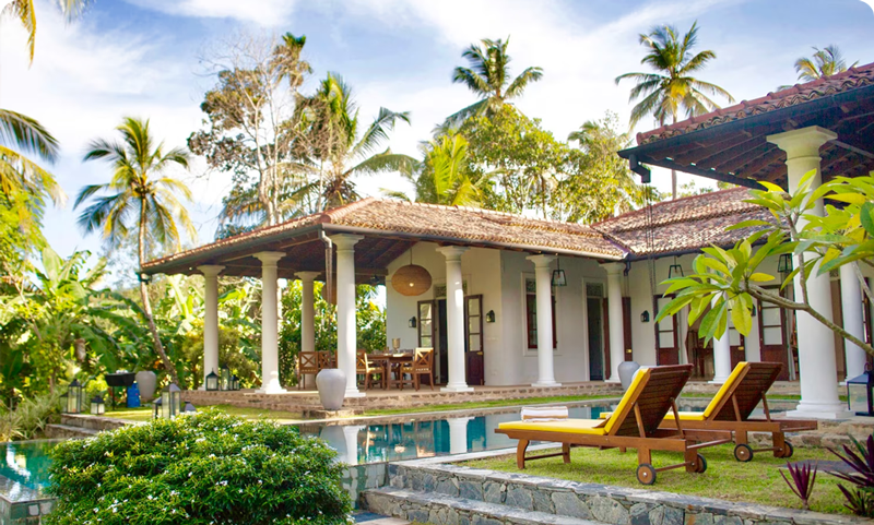 Discover breathtaking beauty in Sri Lanka, South Asia.