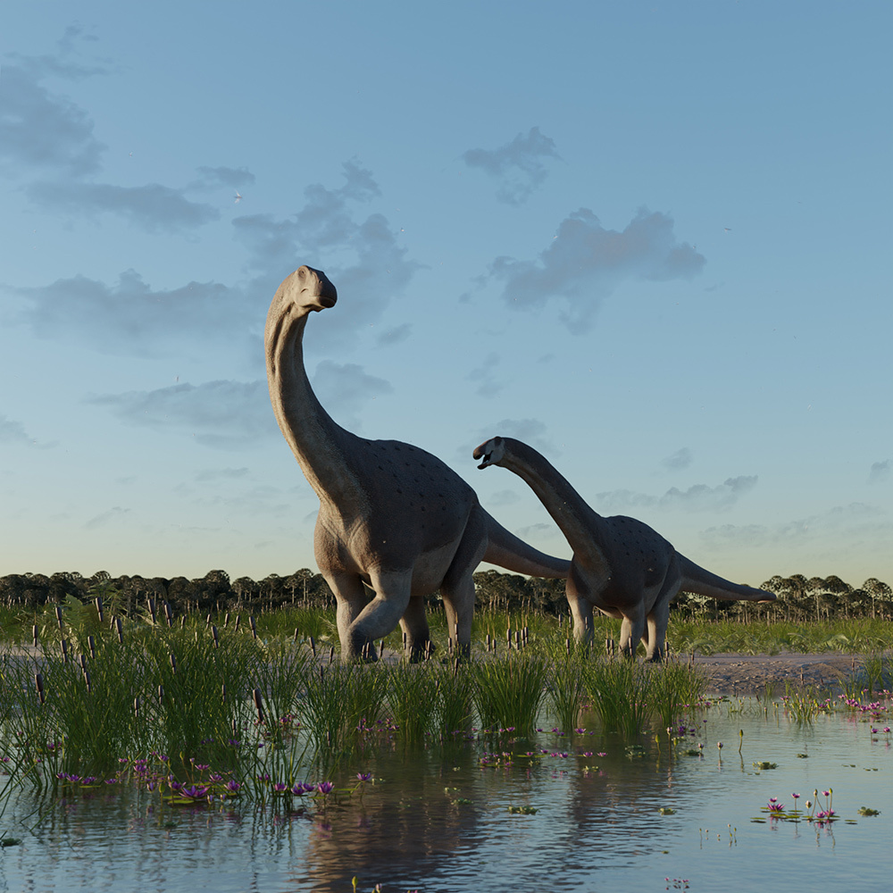 A rendering of two Titanosaurs walking along the shore, the shallow water is dotted with lily pads and cattails