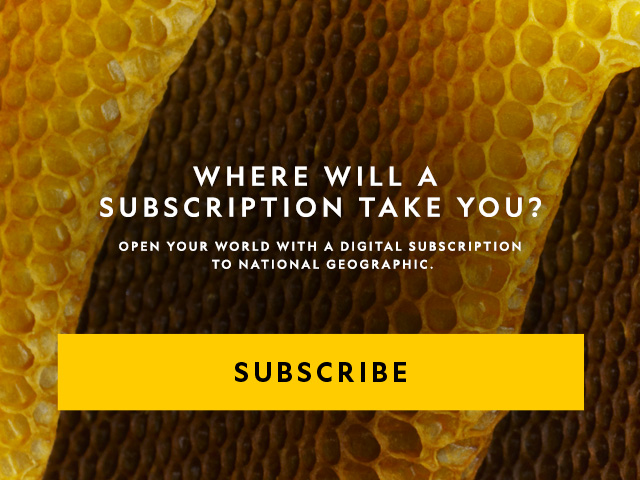 Where will a subscription take you? Open your world with a digital subscription to National Geographic. Subscribe.