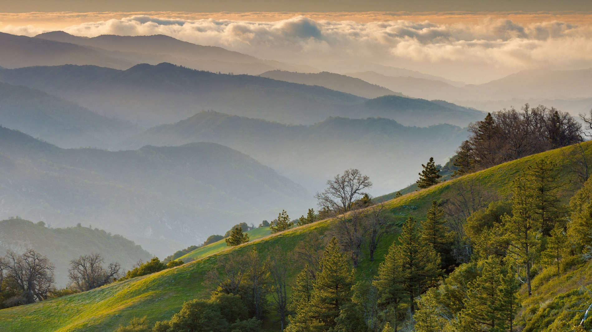 California’s Condor Trail winds through seven wilderness areas, including Los Padres National Forest’s Ventana Wilderness (seen here), in Monterey County, California.