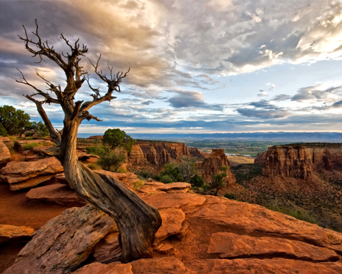 Although it may have some of the same spectacular red-rock scenery as Grand Canyon National Park, Colorado National Monument enjoys a fraction of the crowds.