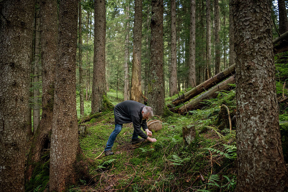 A man forages for wild mushrooms