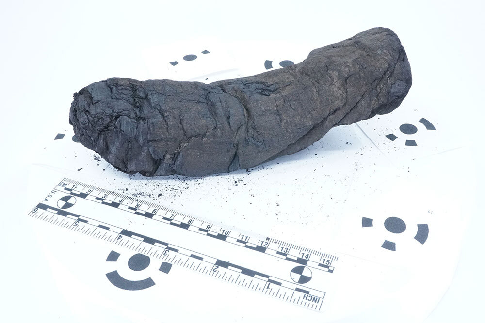 A dark cylindrical item unearthed from a villa in the wealthy town of Herculaneum, on a white background.