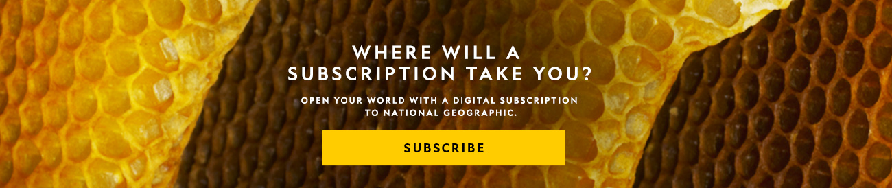 Where will a subscription take you? Open your world with a digital subscription to National Geographic. Subscribe.