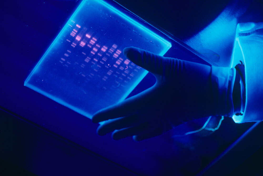 DNA sequencing by gel electrophoresis, a technique used to examine the base-pair sequence or chemical blueprint of lengths of DNA.