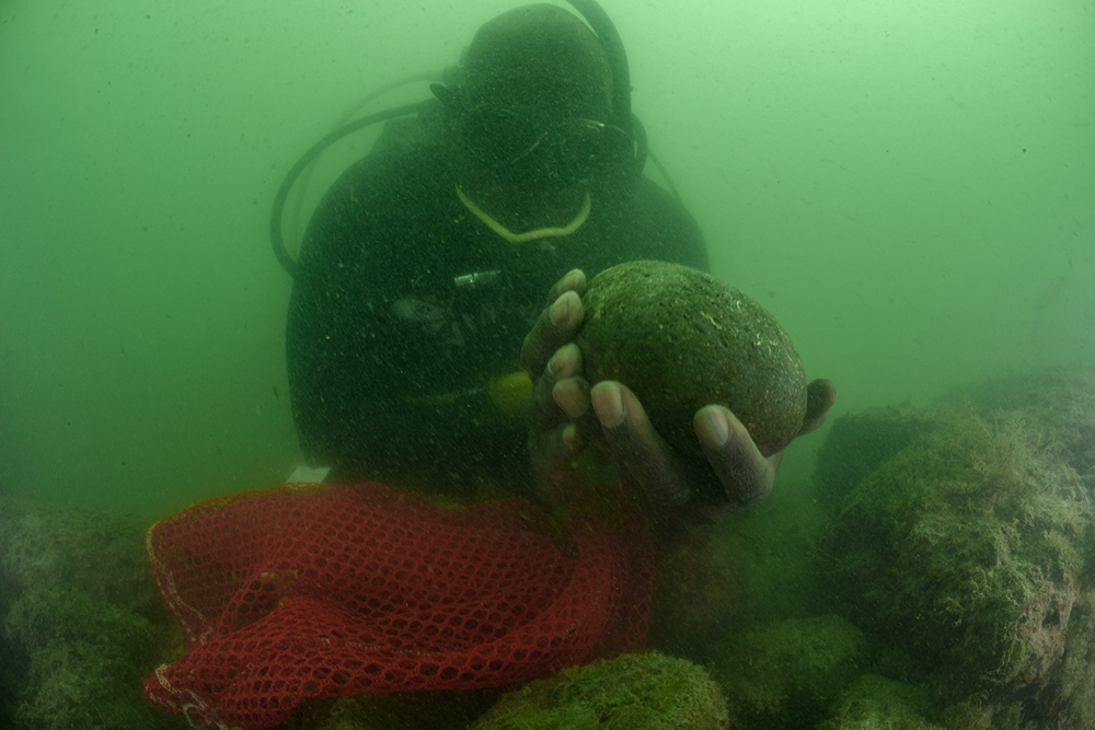 Diving With a Purpose (DWP) lead dive instructor Jay Hailer cradles a stone from a ballast pile in Coral Bay, St. John, in the U.S. Virgin Islands. The stones have been key to identifying slave ships; they often were used to balance the weight of captives in a ship's cargo hold.