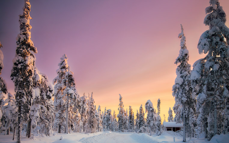 The sky takes on a pink hue during a winter sunset in snowy Levi.