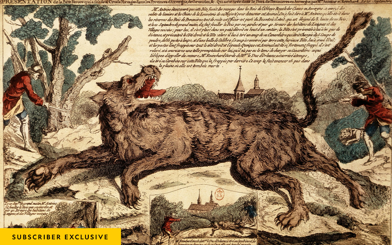 In this 18th-century engraving, royal huntsman François Antoine kills the wolf believed to be the beast in 1765. Two months later, the beast returned to terrorize France again.