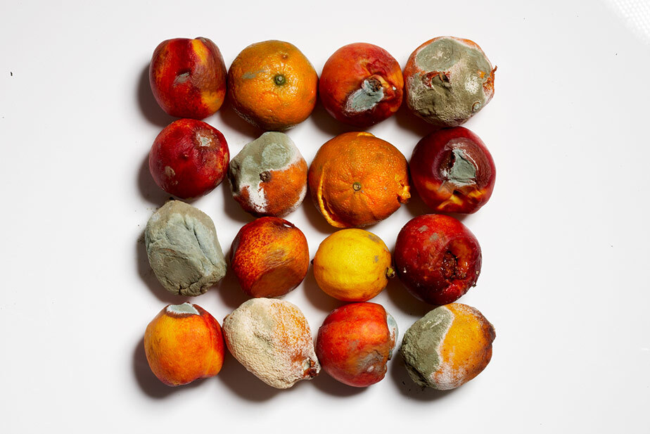 A grid of moldy fruit