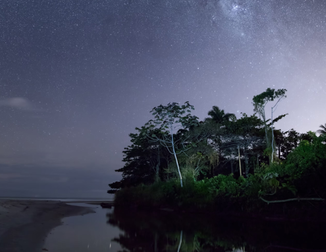 The Atlantic rainforest and jungle at night reflected in a river with the Milky Way visible.