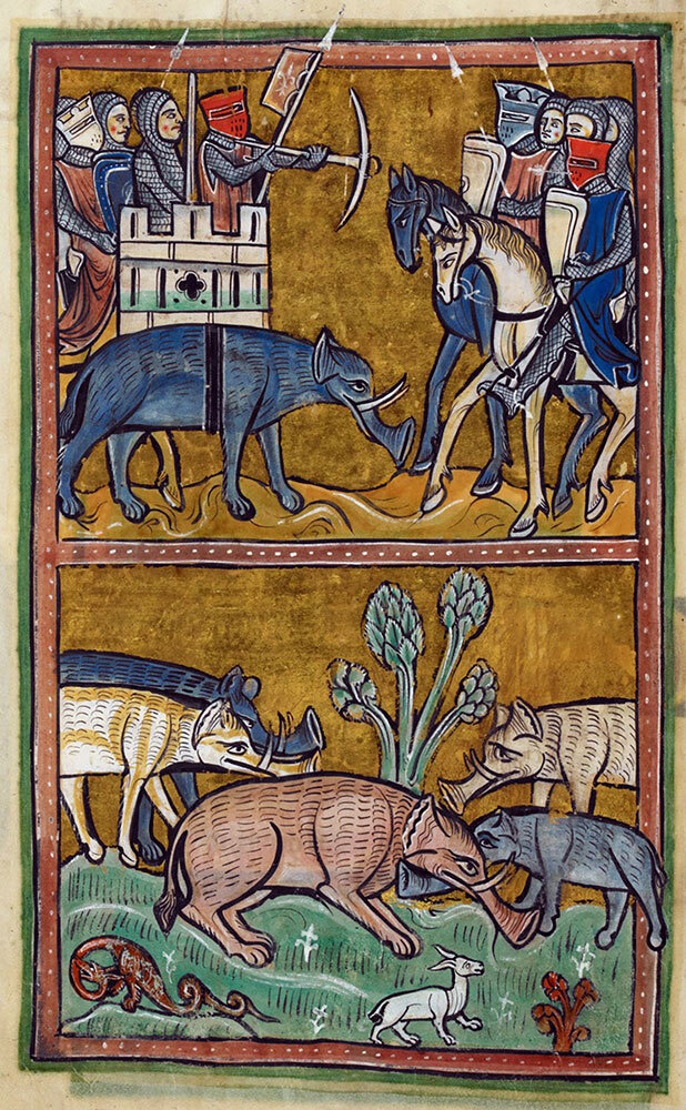 Knights on a war elephant repel mounted assailants while other elephants, with distinctive trumpet-shaped trunks, battle in the lower register in this image from the Rochester Bestiary, created in London around 1250. Few artists in medieval Europe had ever seen a real elephant, instead creating an astonishing variety of pachyderms that still fascinates today.