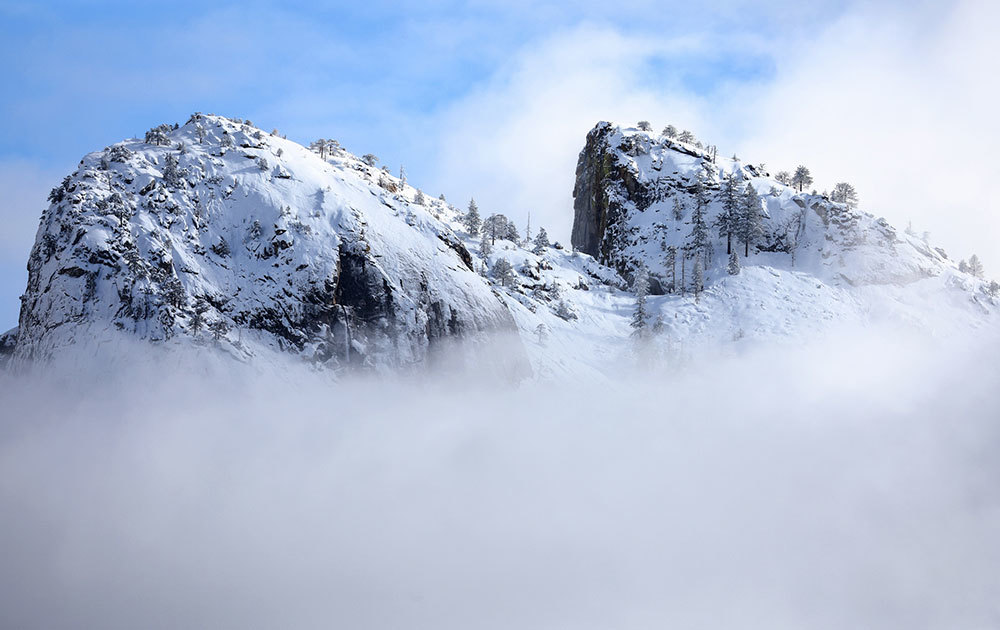 Snowfall rests on trees in Yosemite National Park