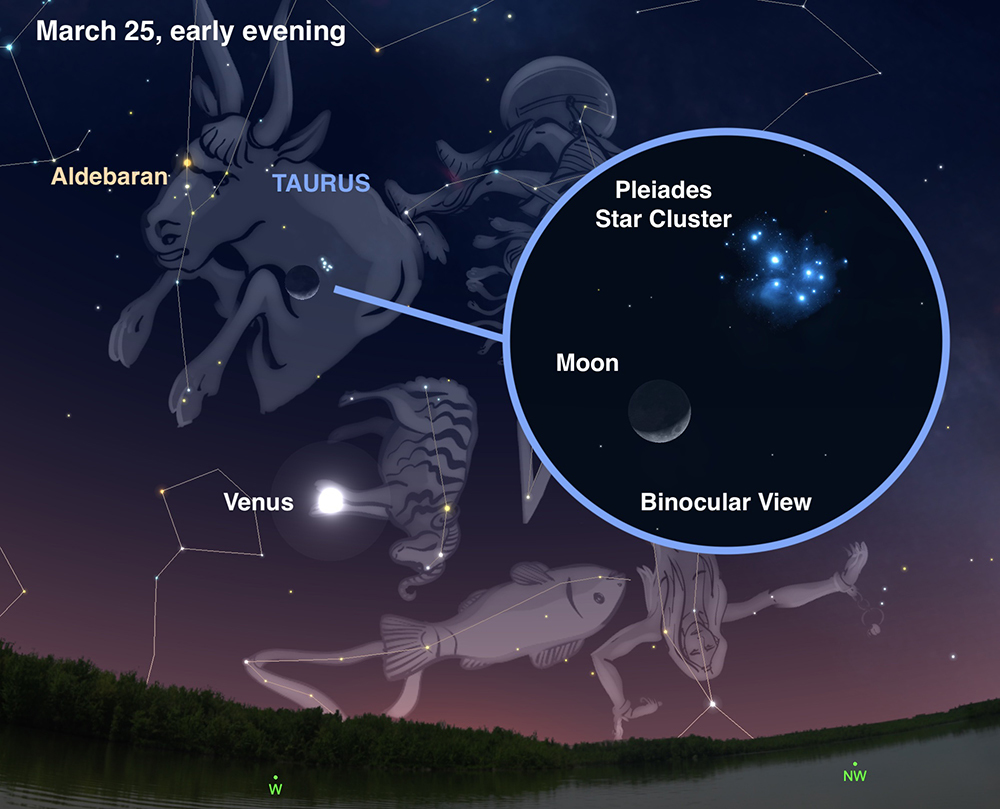 An illustration of the night sky