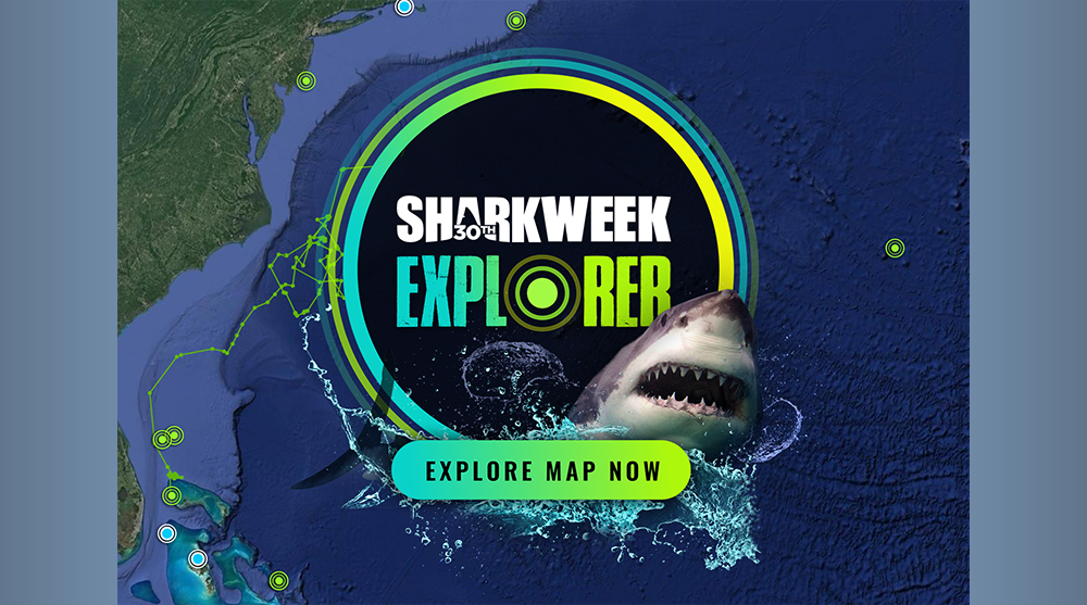 30TH SHARK WEEK - EXPLORER- EXPLORE MAP NOW