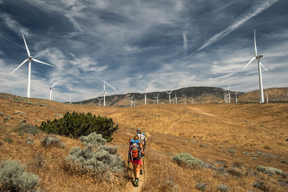 Hikers walk a trail along a wind farm filled with brush.