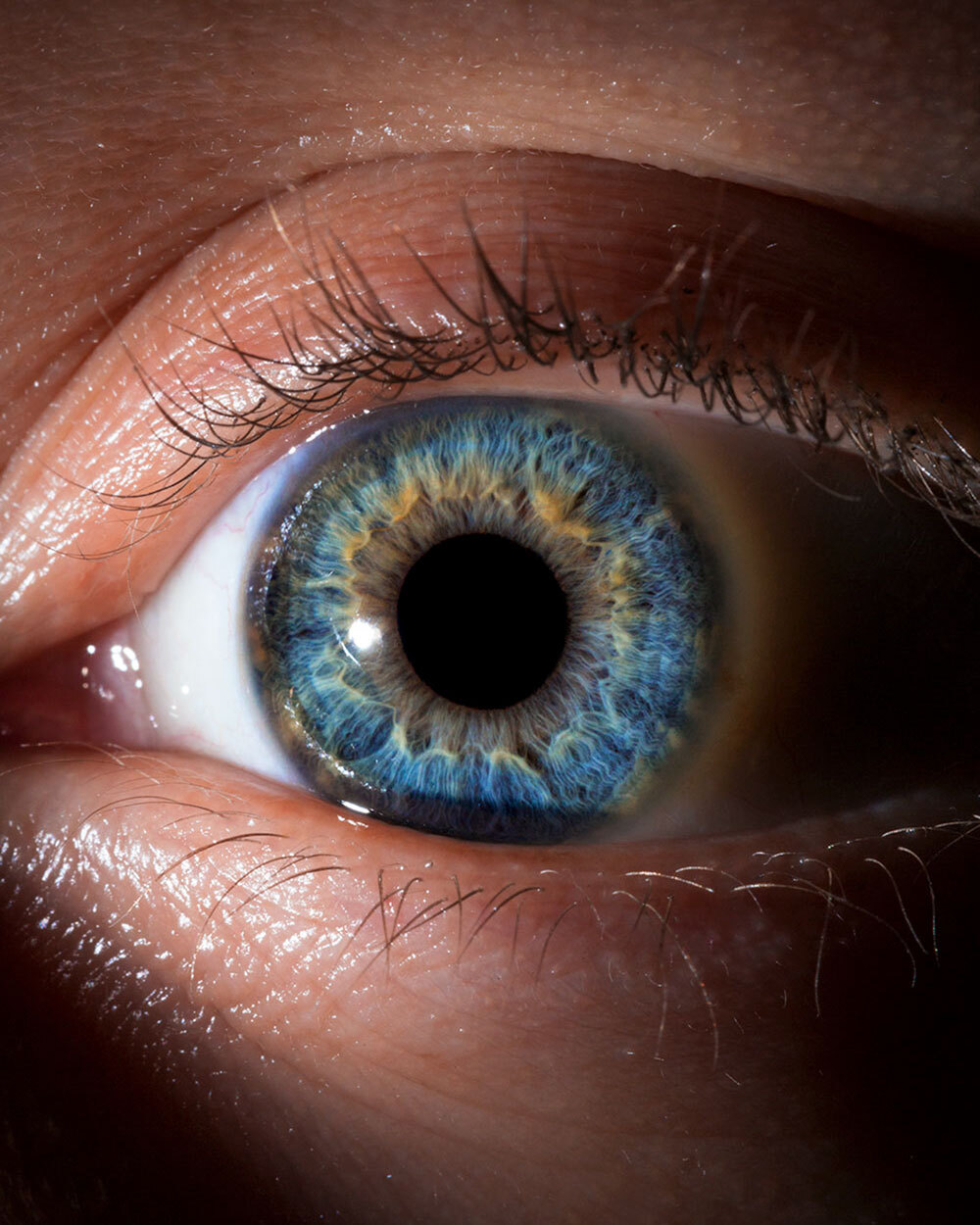 A close up photo of a blue-colored human eye