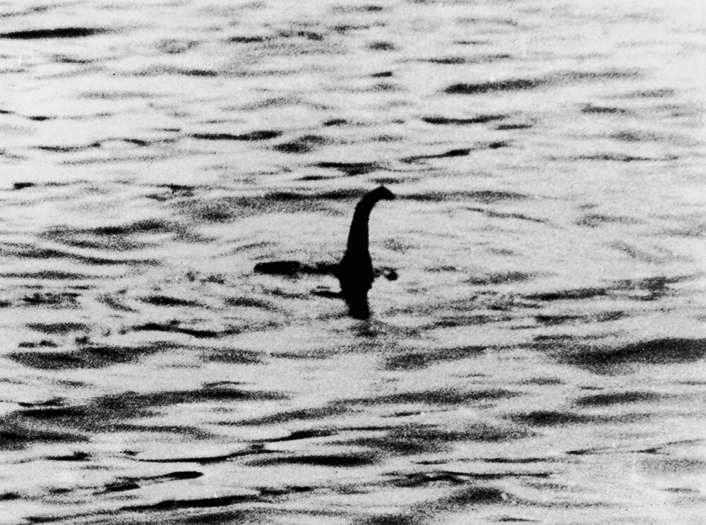 A black and white picture of a serpent-like creature in water