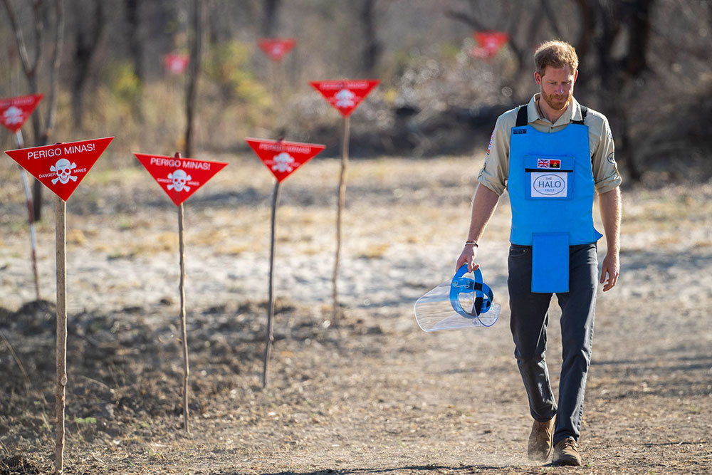 Prince Harry walks down a path lined with danger signs in Angola