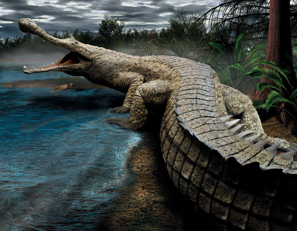 The Sarcosuchus imperator by a body of water with its jaws open