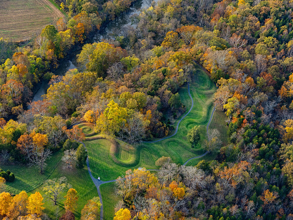 Aerial view of what looks like a huge green serpent meandering under trees.