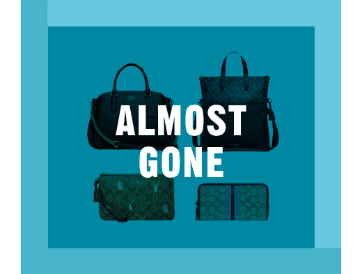 ALMOST GONE | Bags