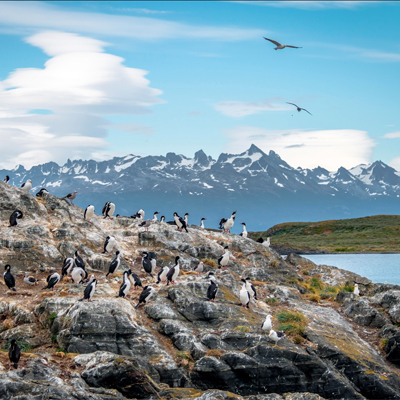 Ushuaia offers wildlife-watching boat trips along the Beagle Channel.