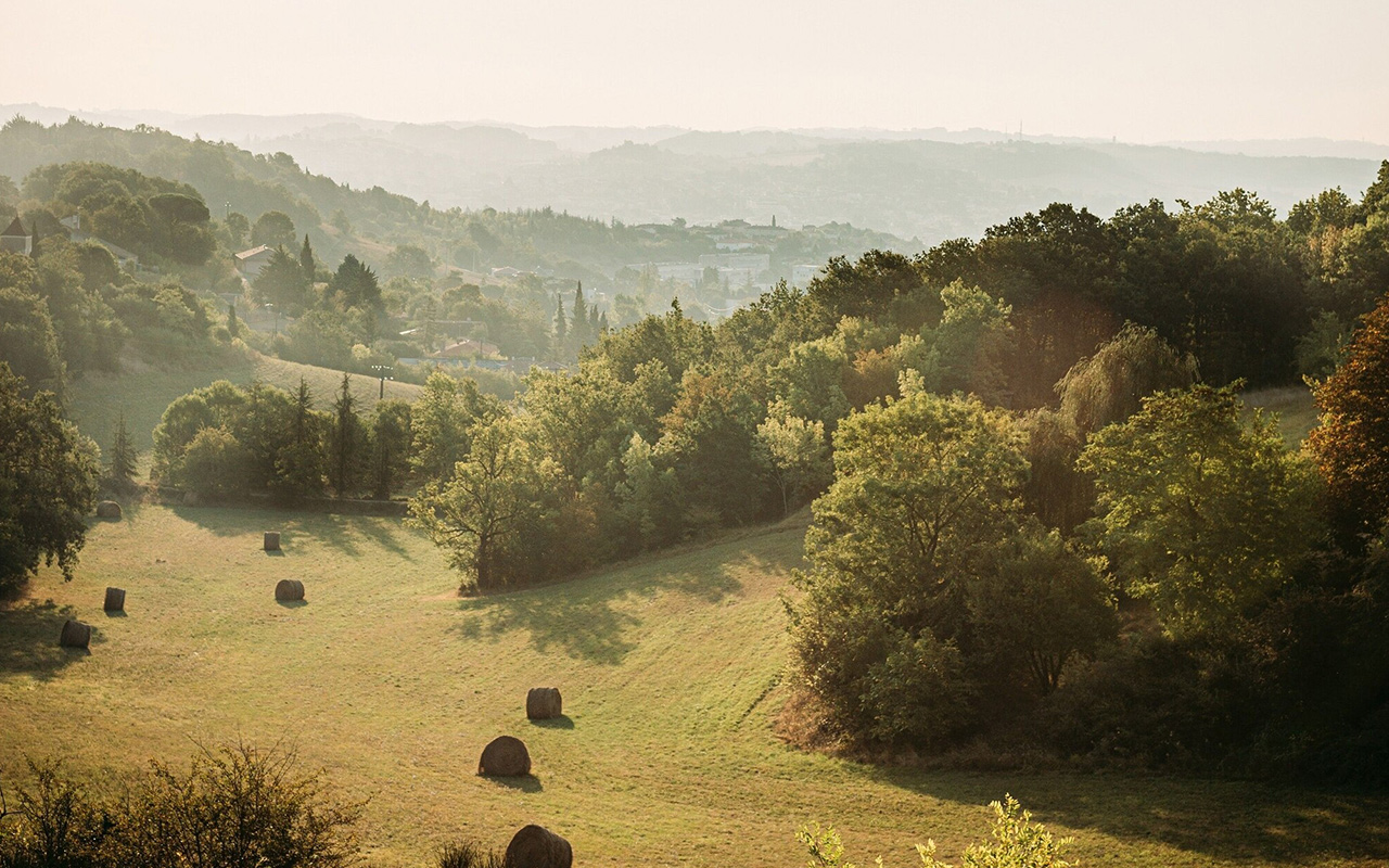The Armagnac region drifts through three French departments like a cloud of mist.