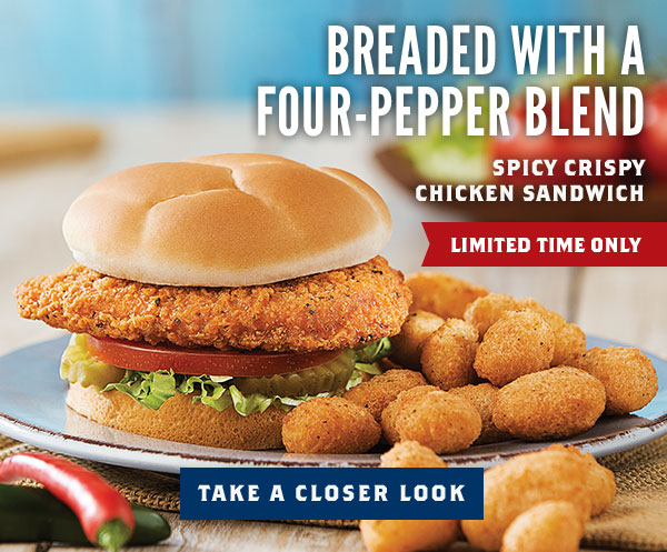 Take a closer look at the Spicy Crispy Chicken Sandwich