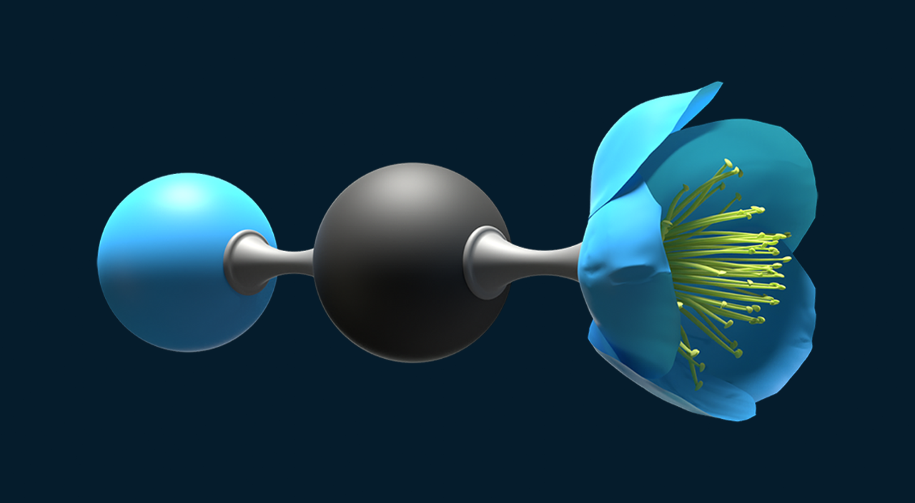 An image representing a carbon dioxide molecule: a gray sphere, representing a carbon atom, sits between two blue spheres, representing oxygen atoms. The blue sphere in the foreground has transformed into a flower, whose petals have opened to reveal the flower’s filaments inside. 

End of image description.  
