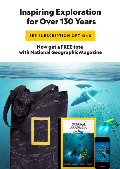 OPEN THEIR WORLD TO WONDER - GIVE THE GIFT OF NATIONAL GEOGRAPHIC.  