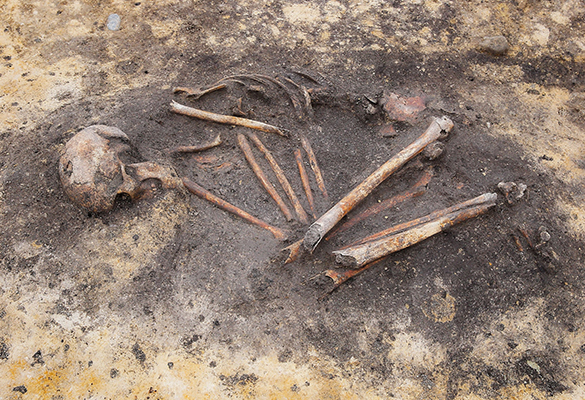 While archaeologists see the beginnings of social inequality in "have" and"have not" Bronze Age burials, new scientific analyses are now helping to illuminate genetic and geographical differences in household populations.