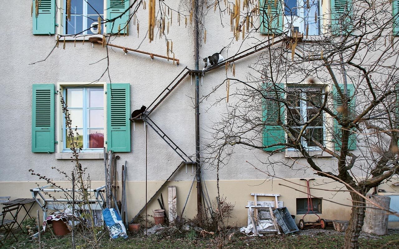 In Switzerland, outdoor access for cats is considered vital for their welfare, and owners install ramps and ladders on the sides of buildings to help them come and go. This belief contrasts with the growing view that cats must be kept indoors to protect birds and other wildlife.