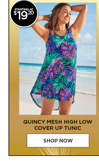 QUINCY MESH HIGH LOW COVER UP TUNIC SHOP NOW 