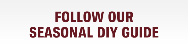 FOLLOW OUR SEASONAL DIY GUIDE