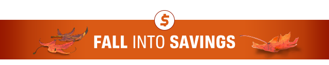 FALL INTO SAVINGS