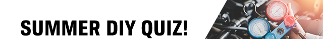 SUMMER DIY QUIZ!