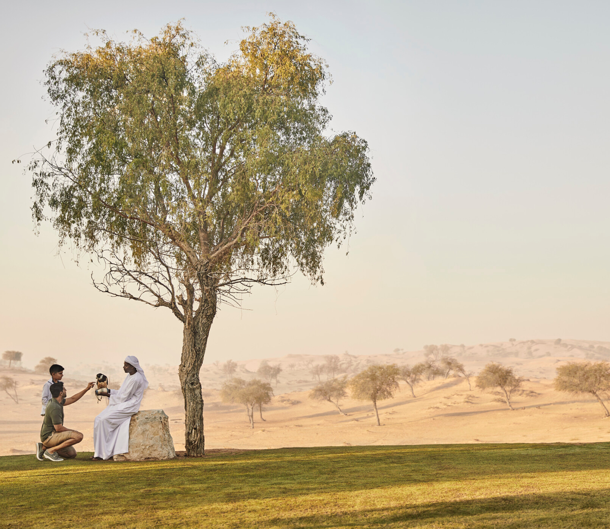 Website: Marriott Explore Hotels Landing Page