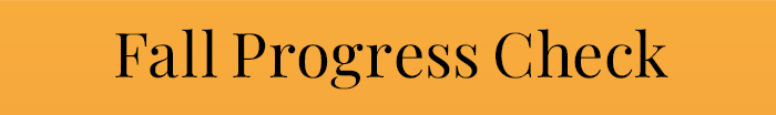 2023 Progress Check