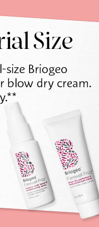 Briogeo leave-in conditioner or blow dry cream