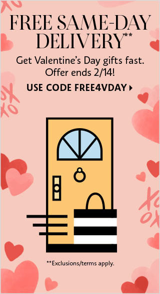 Free Same-Day Delivery