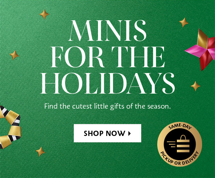 Minis for the Holidays