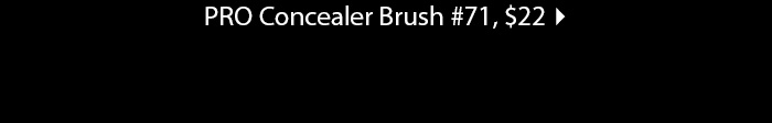 Pro Concealer Brush